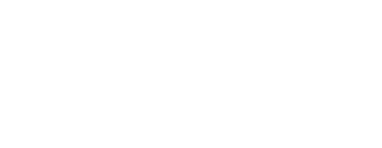logo light