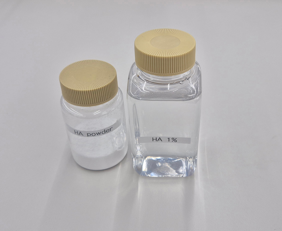 HA powder와 HA 1% 용액